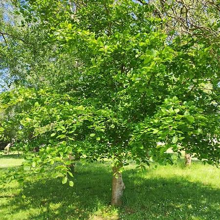 Holiday home En Ribadeo