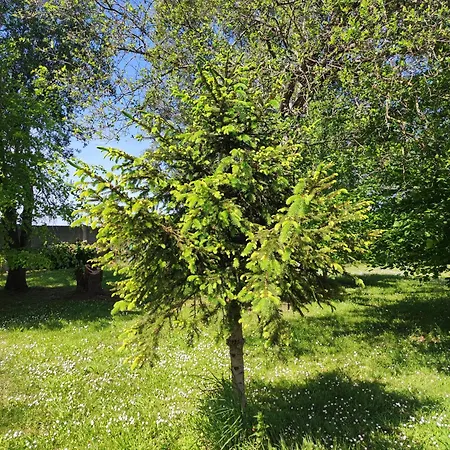 En