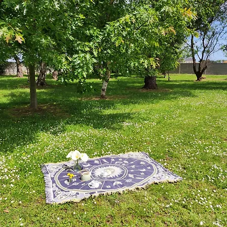Hébergement de vacances En *