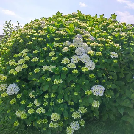 En Holiday home Ribadeo