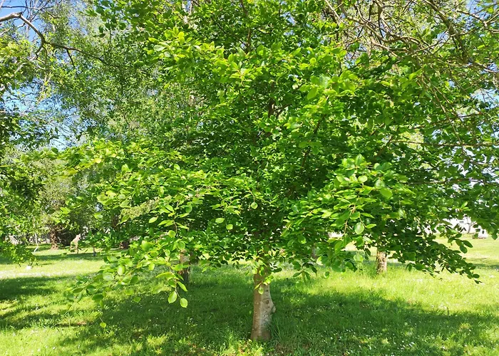 Hébergement de vacances En Ribadeo