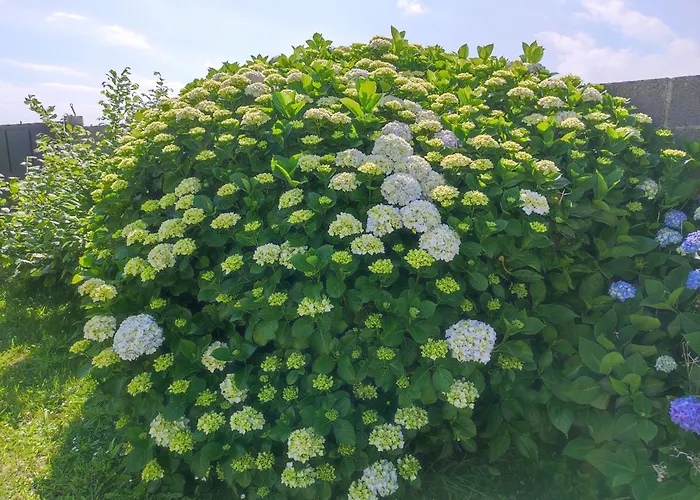 En 別荘 リバデオ